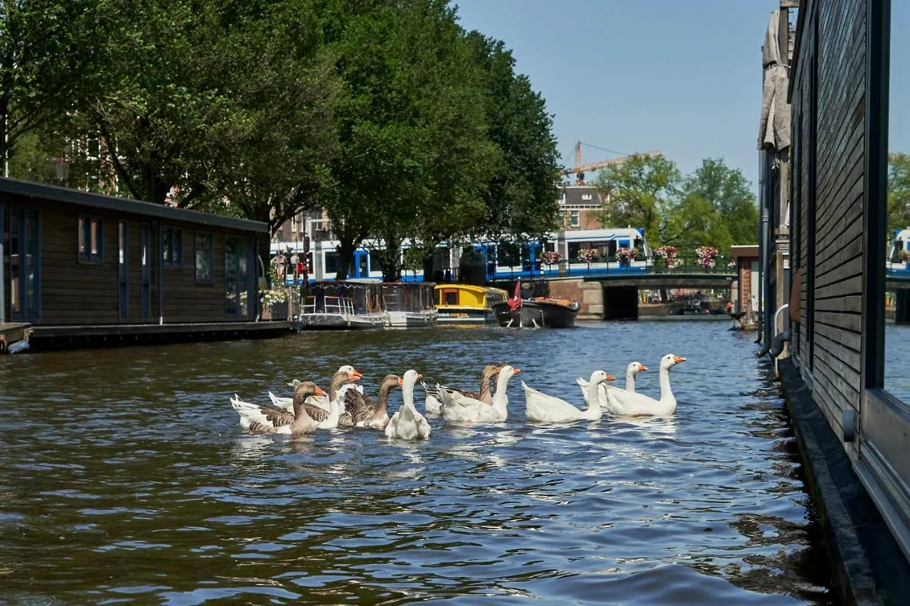 The Amsterdam Houseboat Family - De Pijp Lägenhet